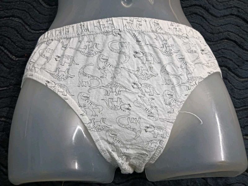 Dino Print 🤎Briefs