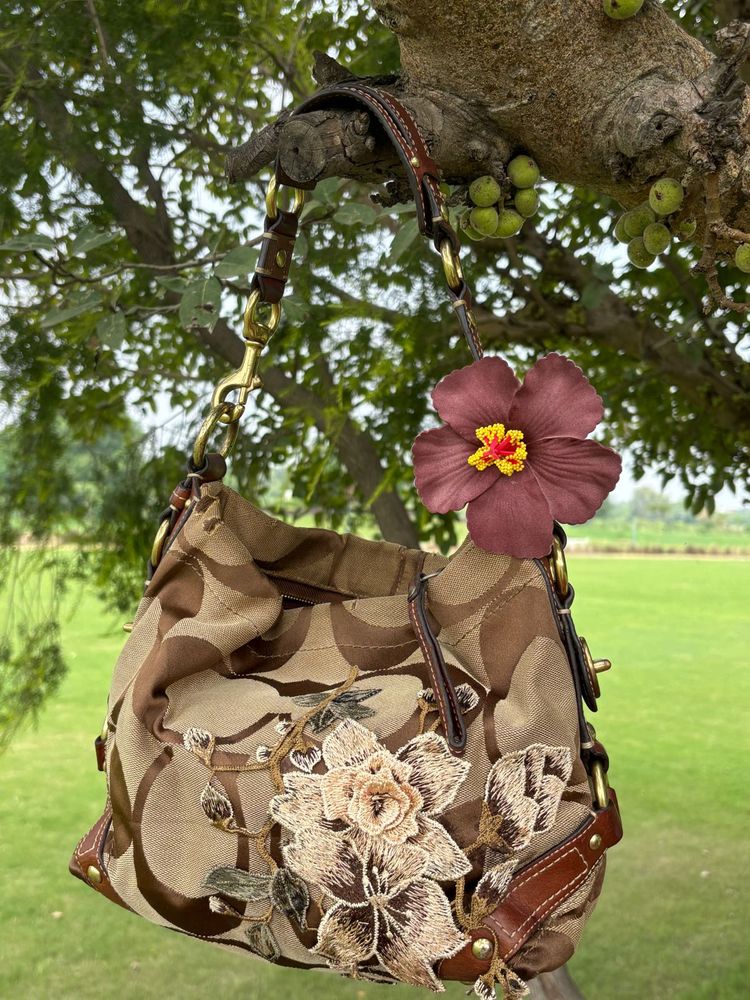 Coach Carly Hobo Bag