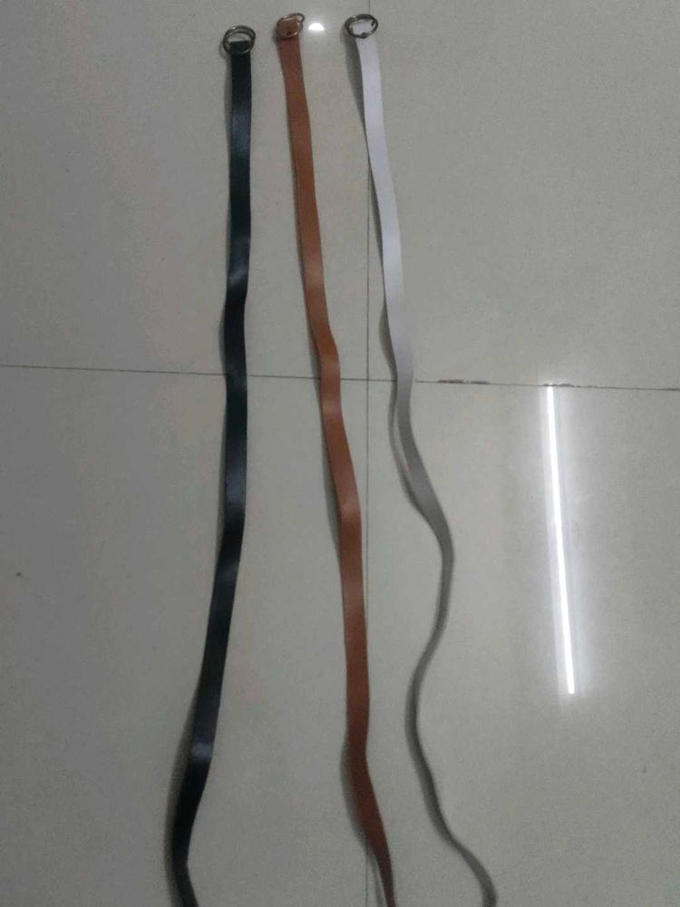 Set of 3 Thin Belts