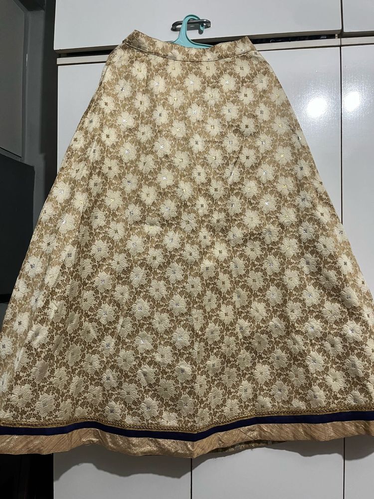 Elegant Brocade Ethnic Skirt