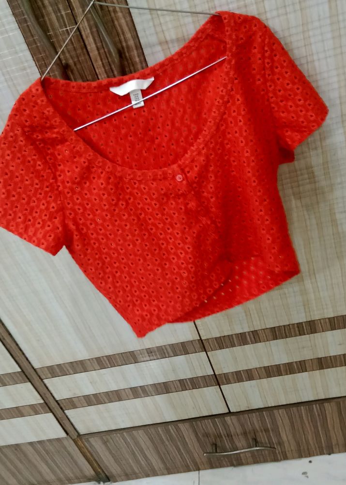 Stylish H.MCrop Top