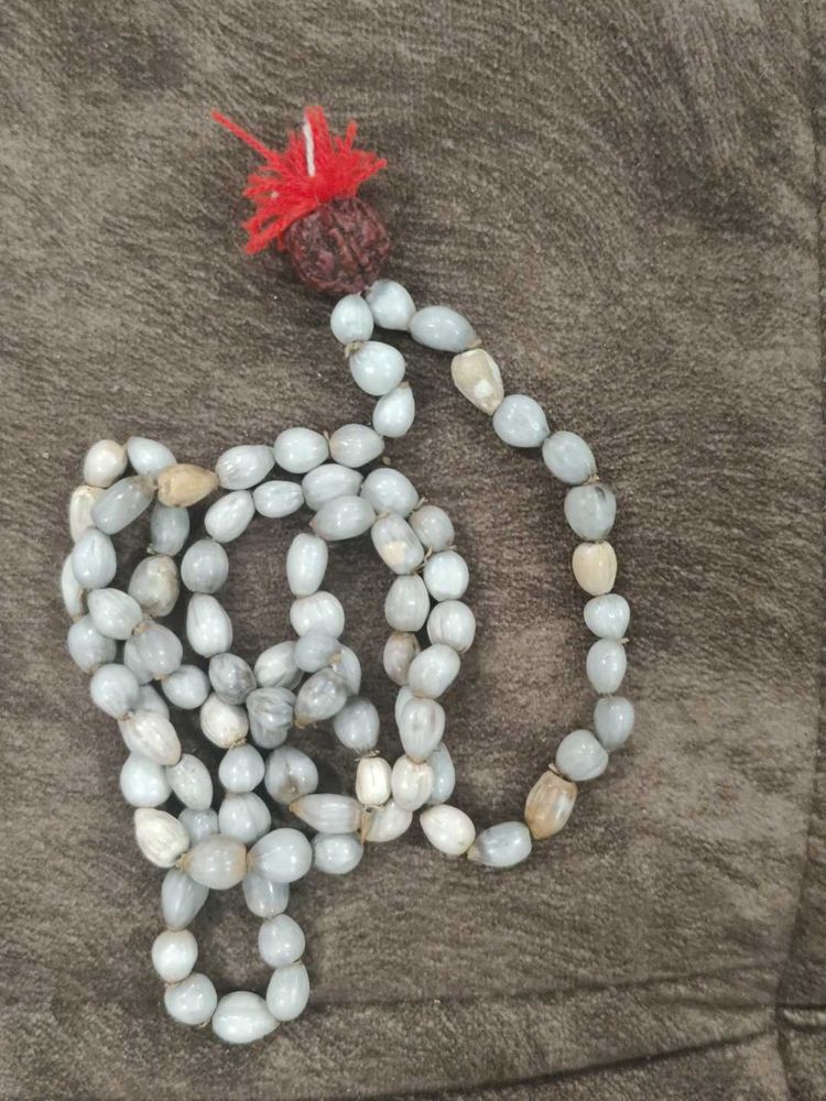 Vaijanti Mala with 5 Mukhi Rudraksha