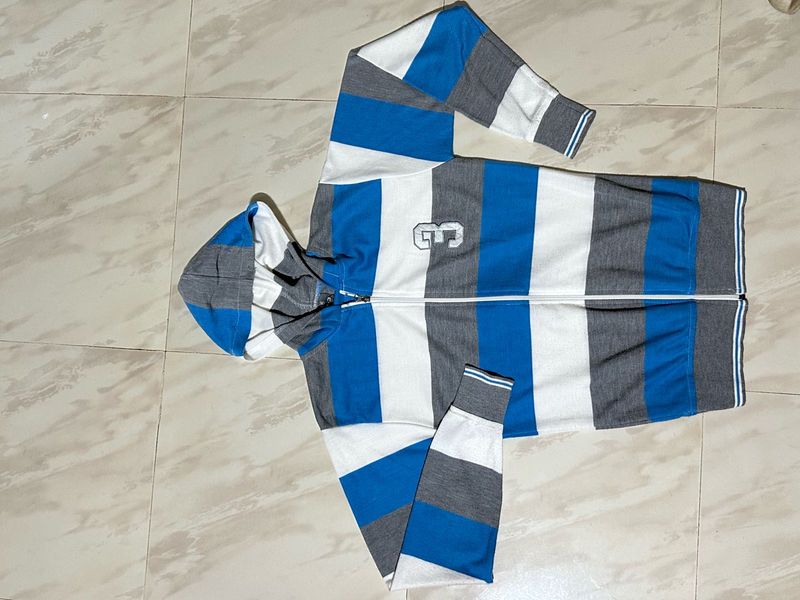 Two Striped Zip-Up Hoodie