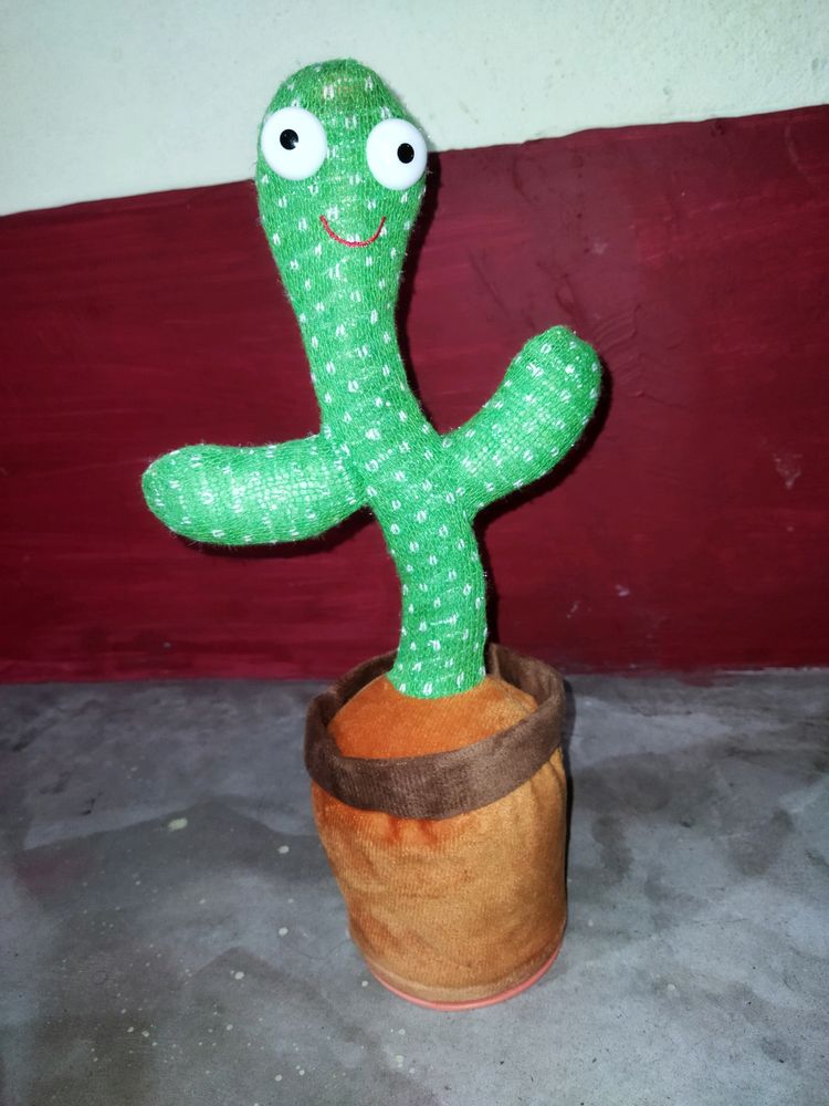 Dancing Cactus