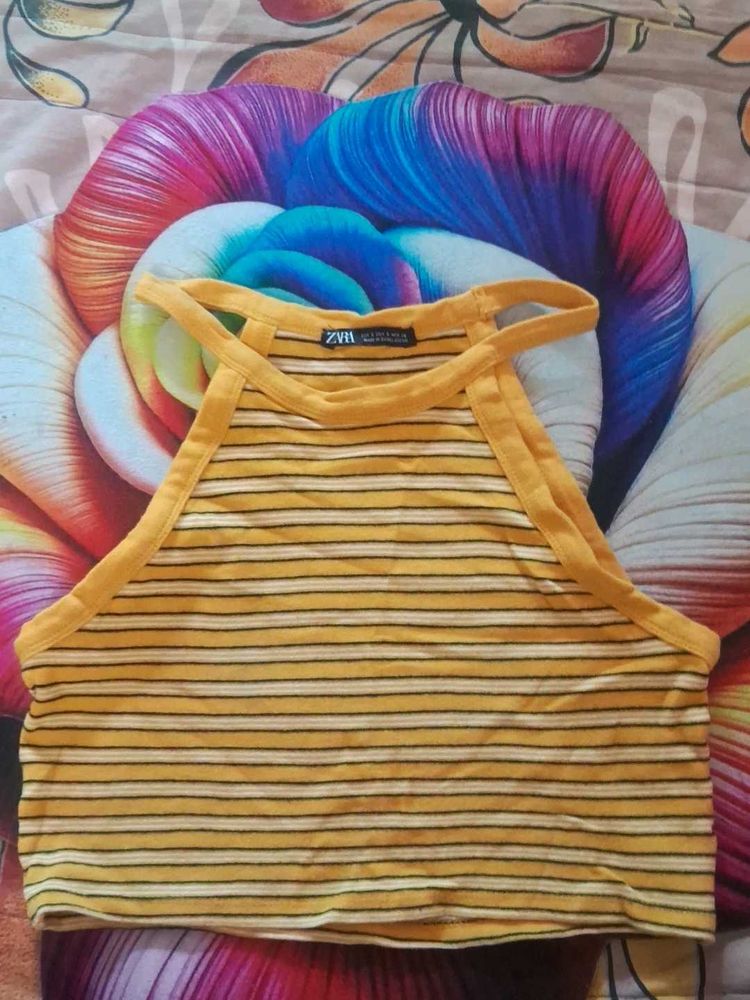ZARA Striped Halter Neck Crop Top