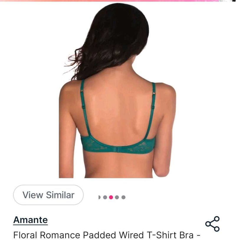 Amante Padded Bra