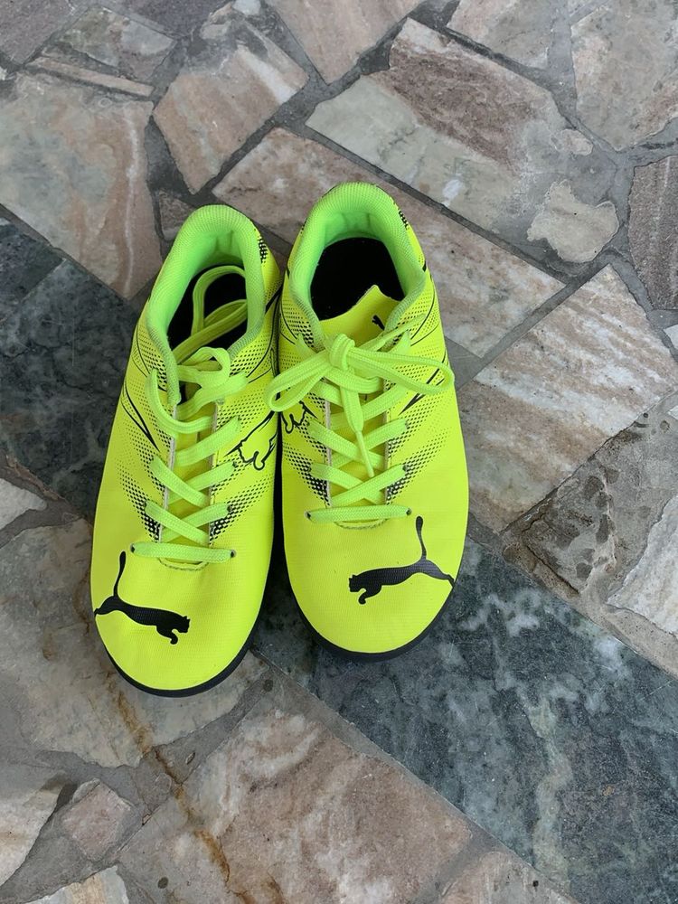 Puma Soccer Cleats