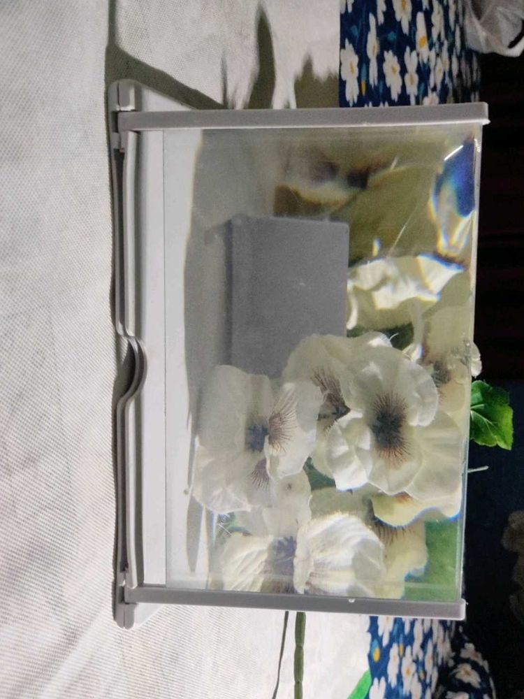 Phone Screen Magnifier...