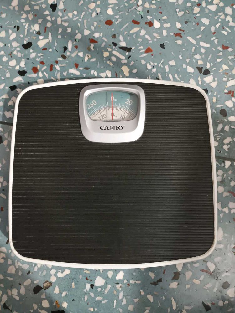 CAMRY Analog Weighing Scale