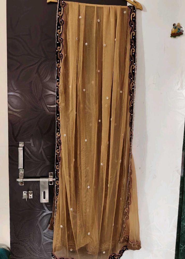 Embellished Net Dupatta
