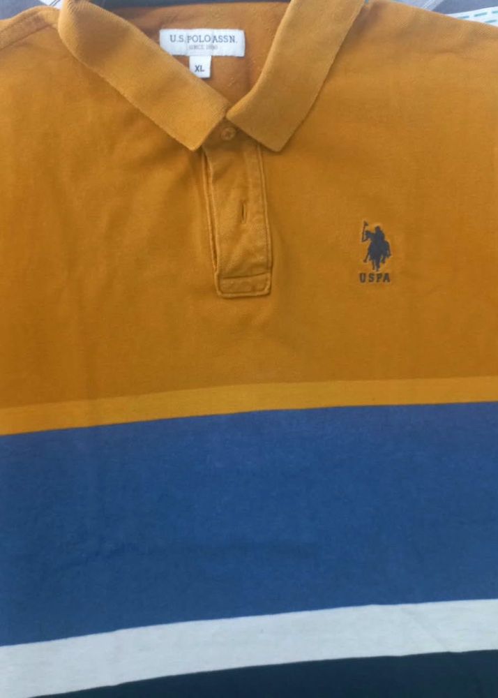 US Polo T shirt in dual color
