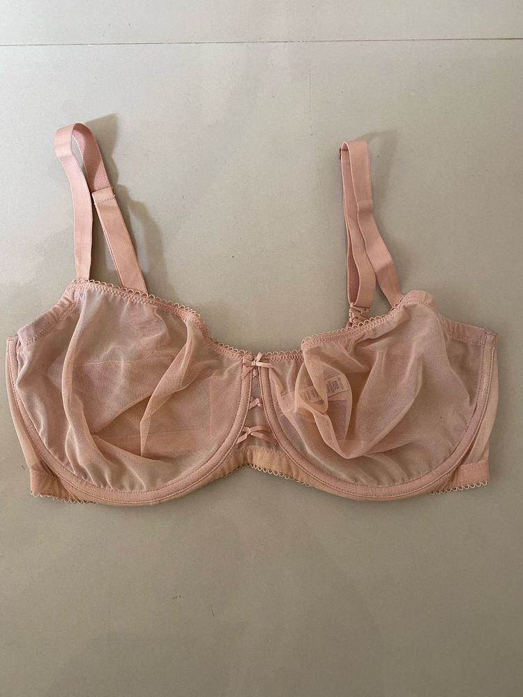 Sheer Lace Trim Balconette Bra