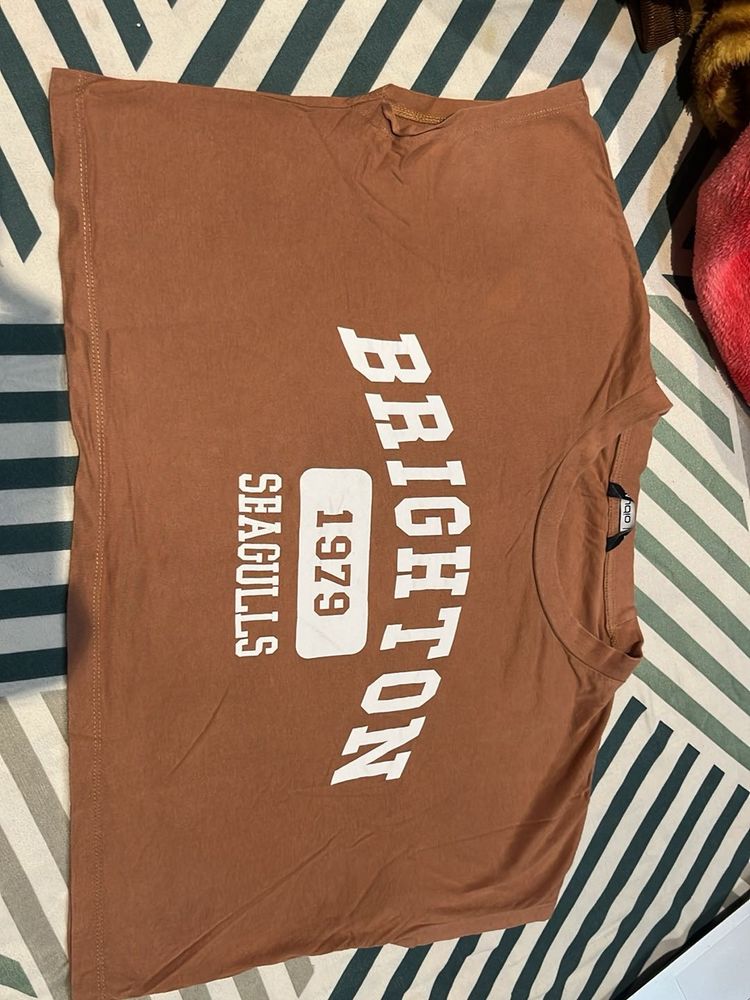 Brown Brighton Seagulls T-Shirt