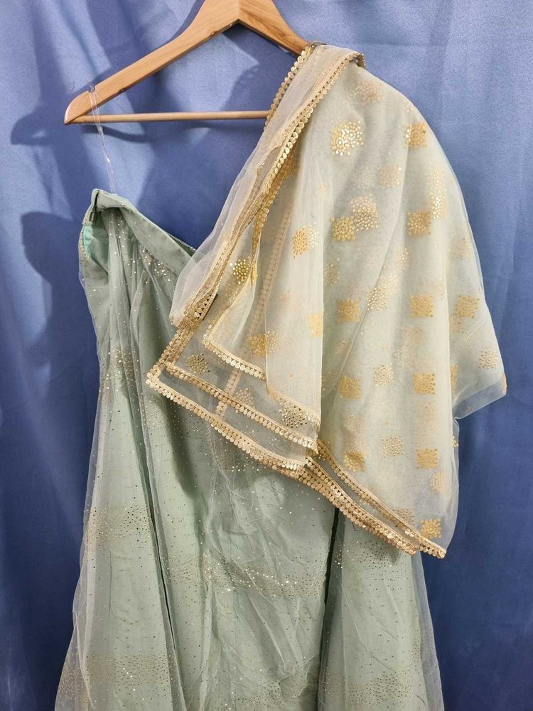 Indiya Elegant Lehenga with Dupatta and blouse