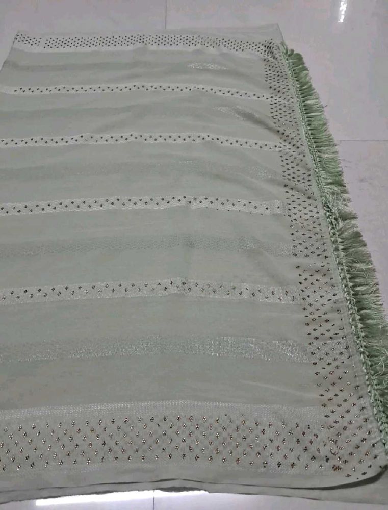 Elegant Light Green Embellished Saree