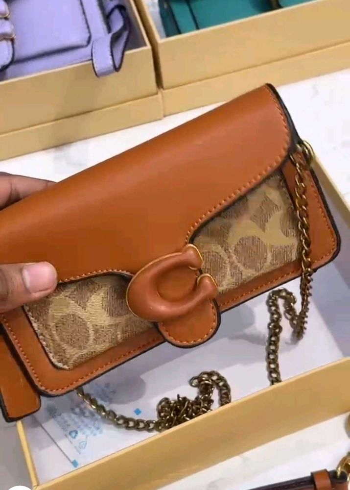 Coach Slingbags