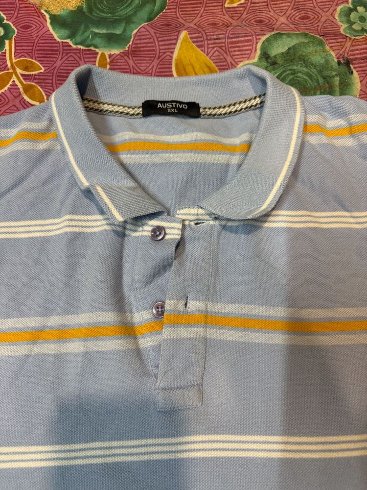Striped Blue Polo T-Shirt
