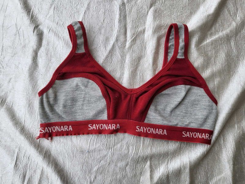 Price Drop! Sayonara Red &amp; Grey Sports Bra