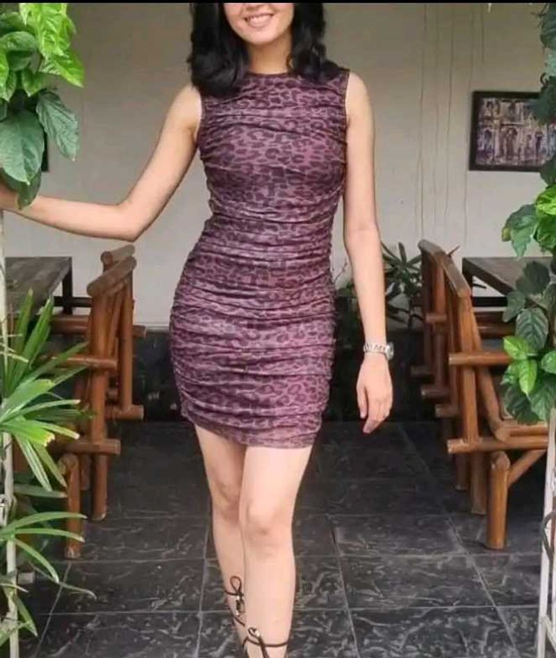 Stylish Bodycon Animal Print Dress