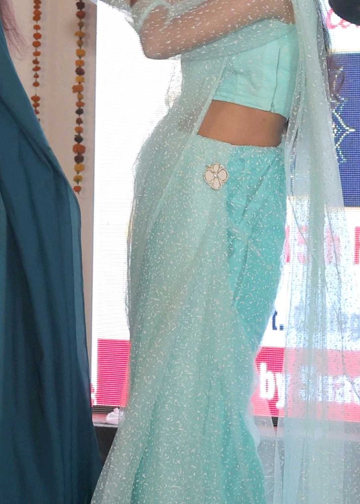 Stunning sarre with petticoat