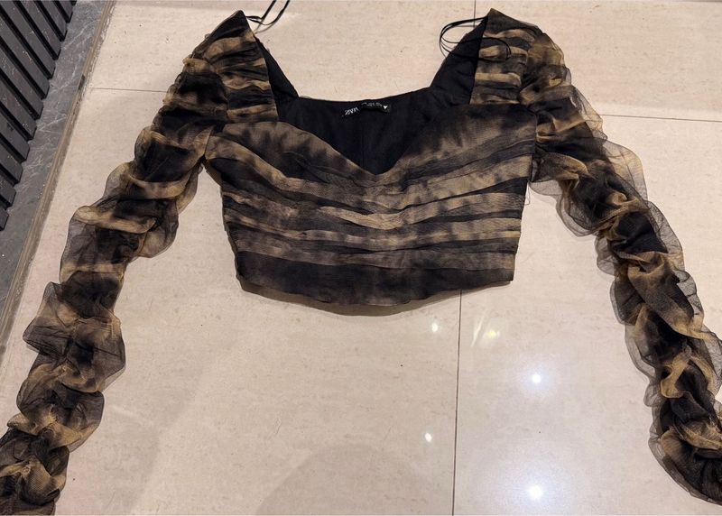 Sheer Ruched Sleeve Top