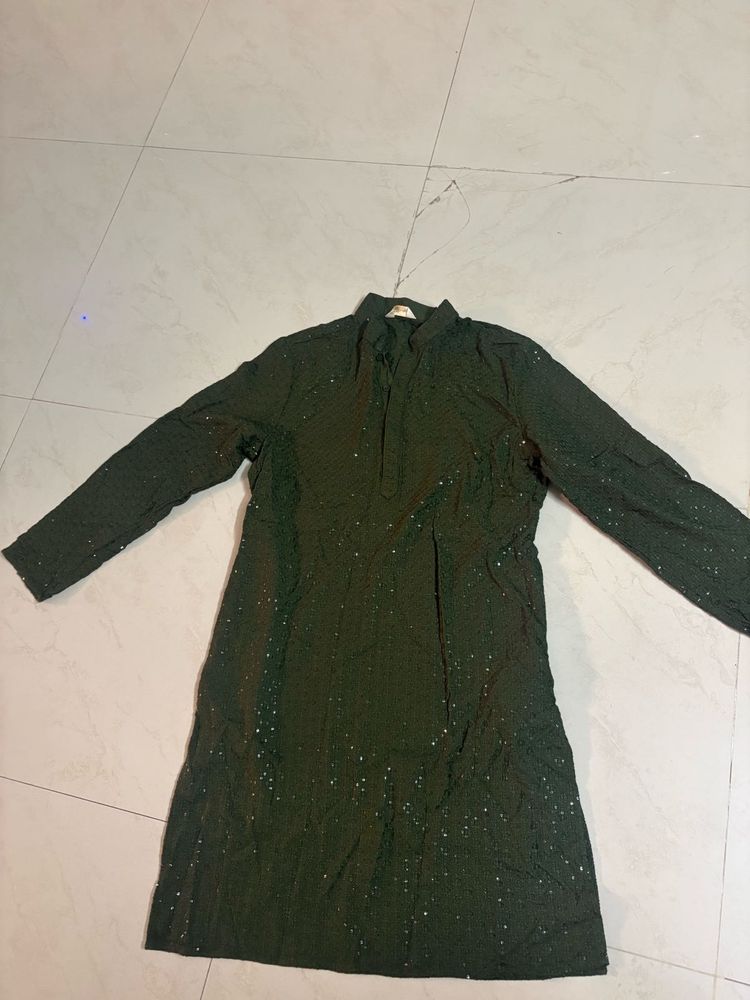 Elegant Green Kurta with Sequins