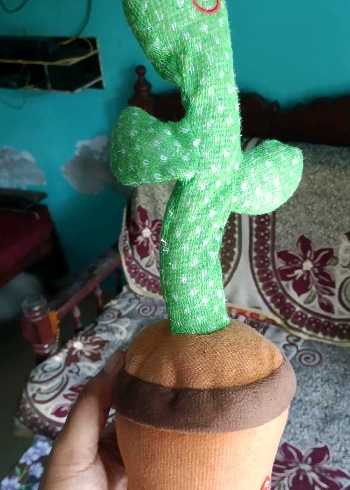 Dancing Cactus Toy