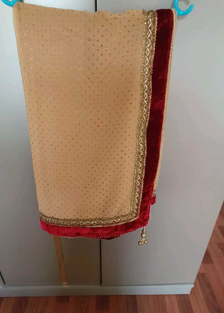 Tan Saree With Maroon Velvet Border