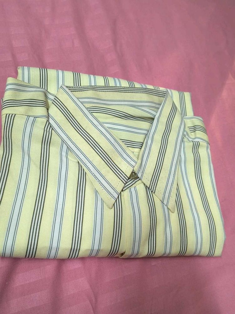 Striped Button-Down Shirt