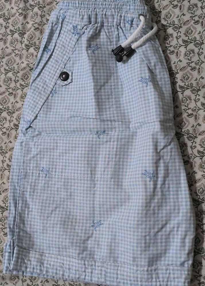 Light Blue Gingham Turtle Shorts