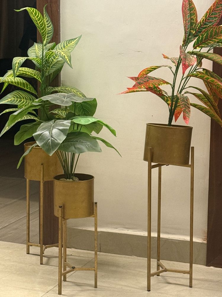 Set of 3 Gold Plant Stands