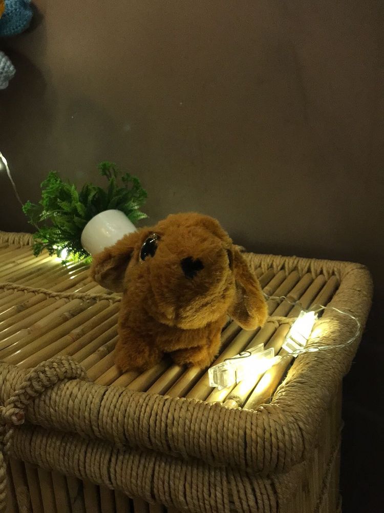 Cute Brown Stuffed Bunny