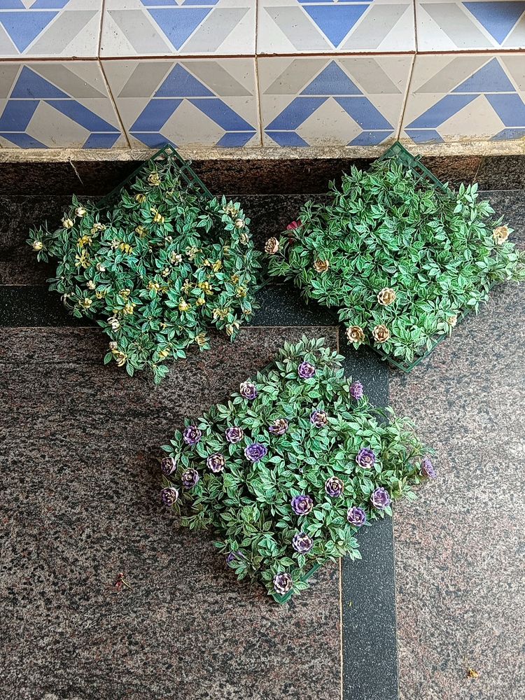 3 Set Showcase And Wall Decor Flower Plants