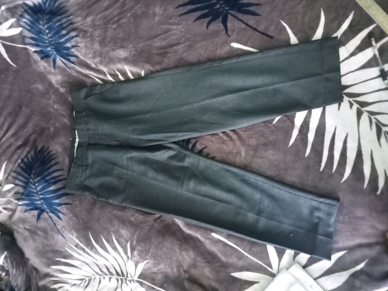 Formal Pants,Light Black