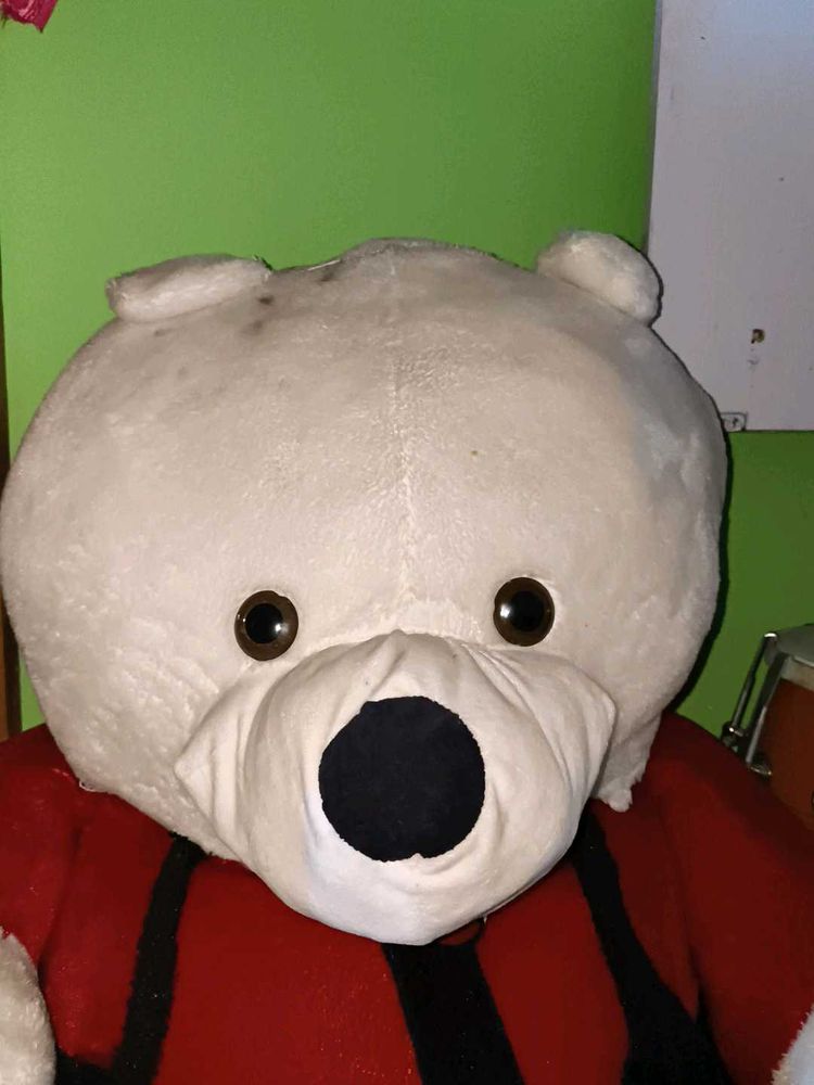 Large White Teddy Bear