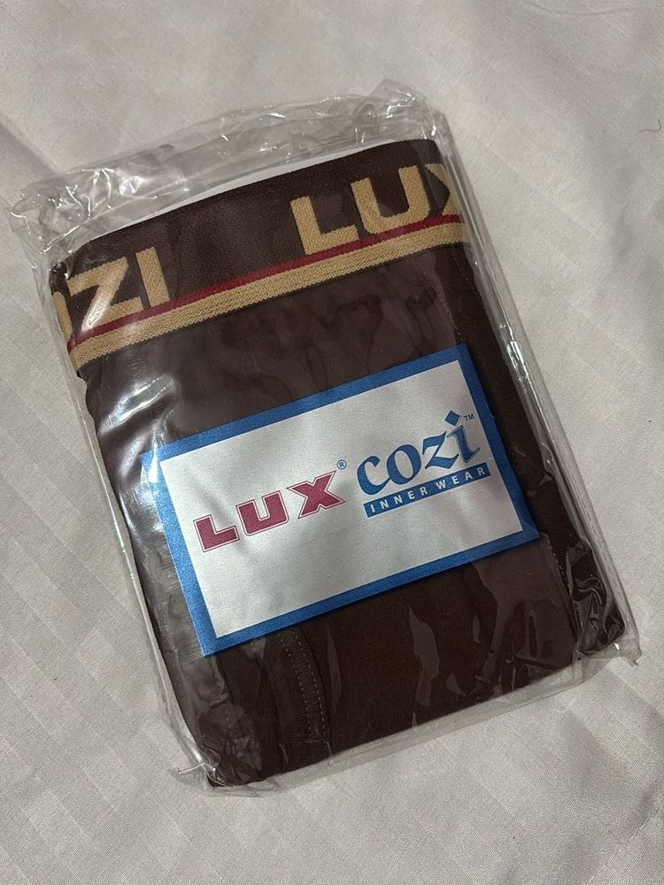 lux cozy brown trunk