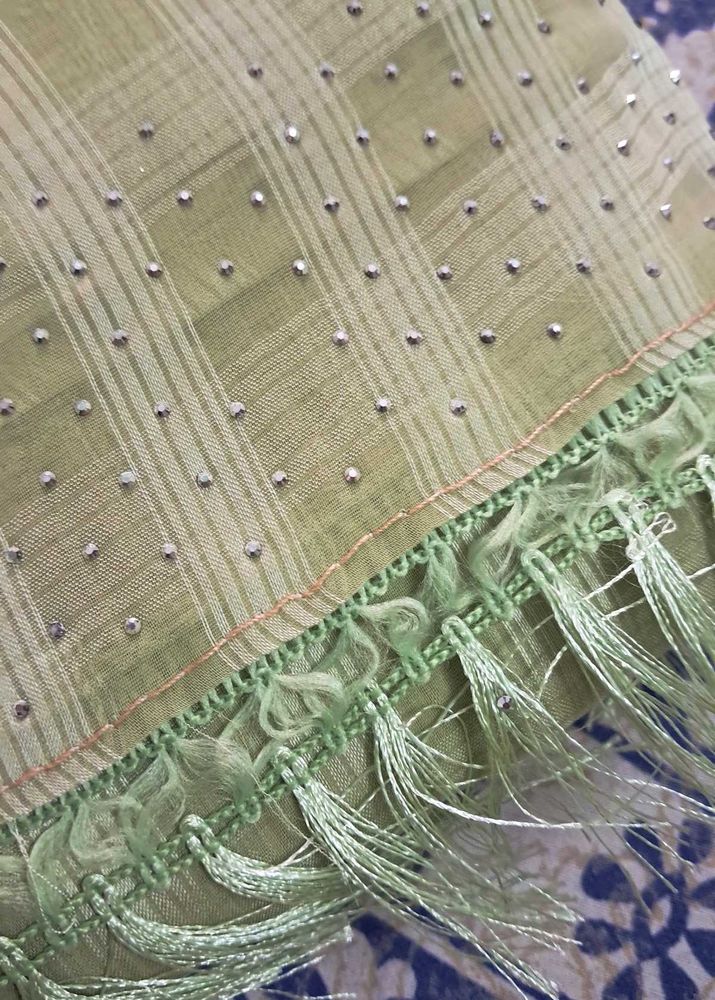 sea green Embellished sareee