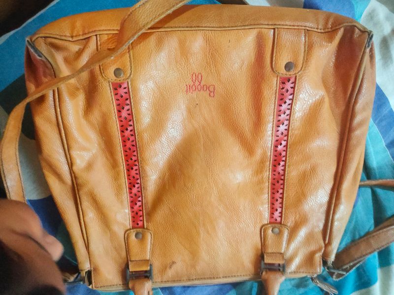 Baggit Bag