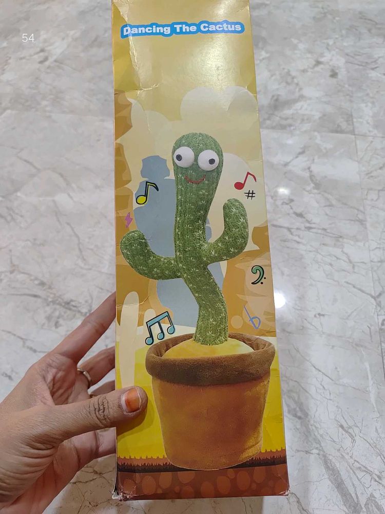 Dancing Cactus Toy