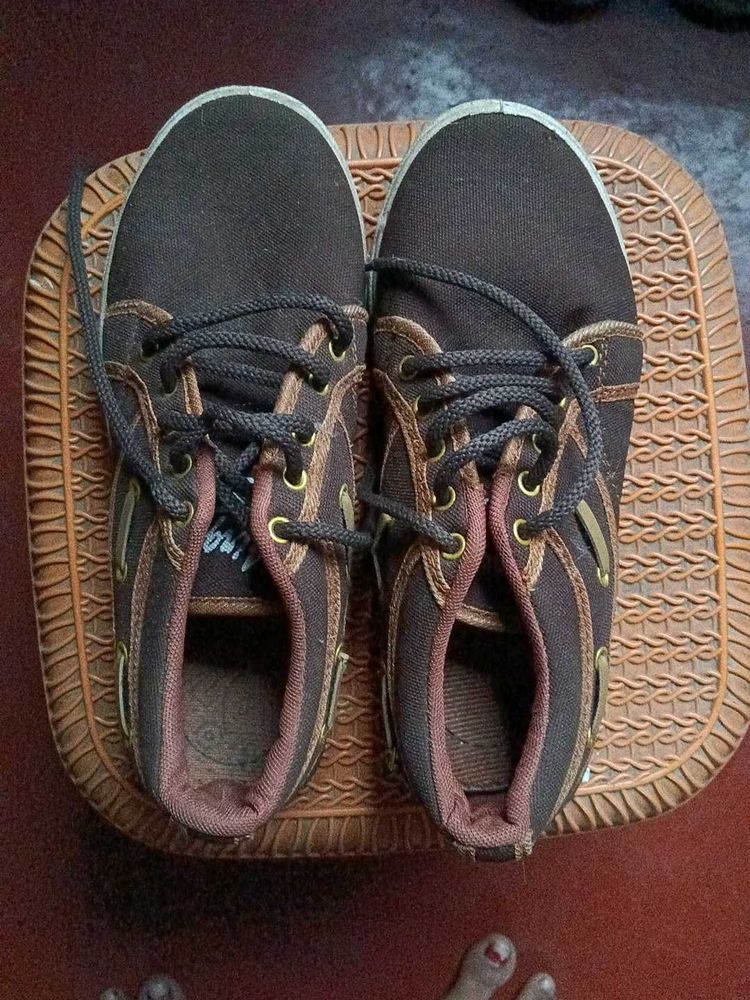Men's Casual Brown Shoes
