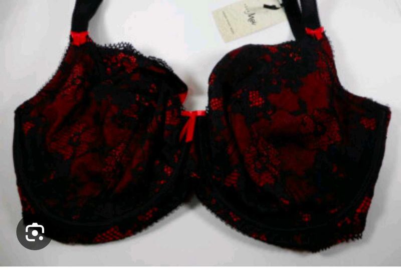 Very Sexy And Beautiful Net Bra Penty