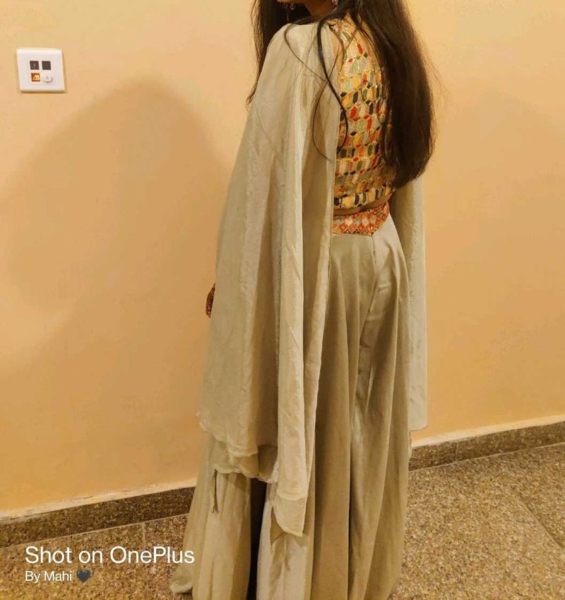 Elegant Ethnic Gown