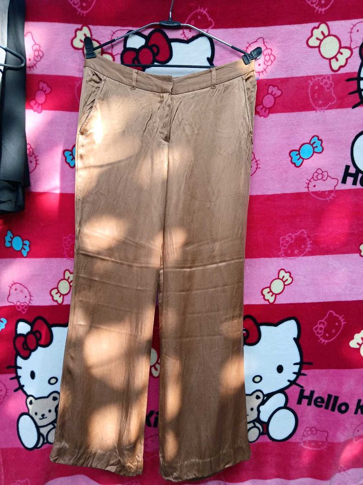 Brown Wide Leg Fromal trousers