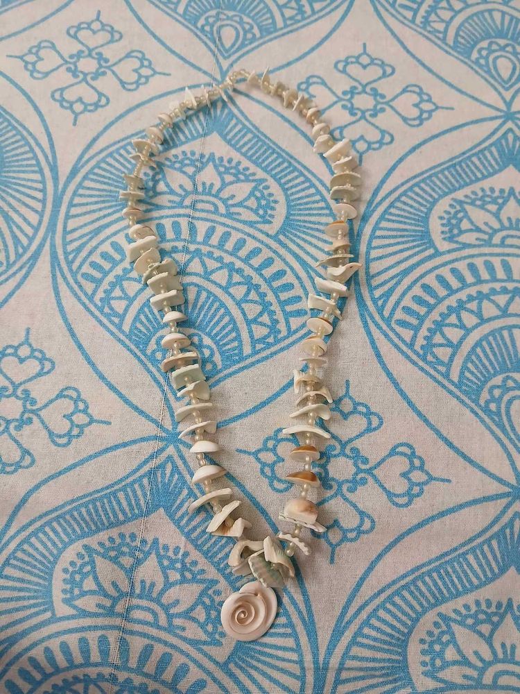 Cute Earrings 5 pairs 1 shell necklace