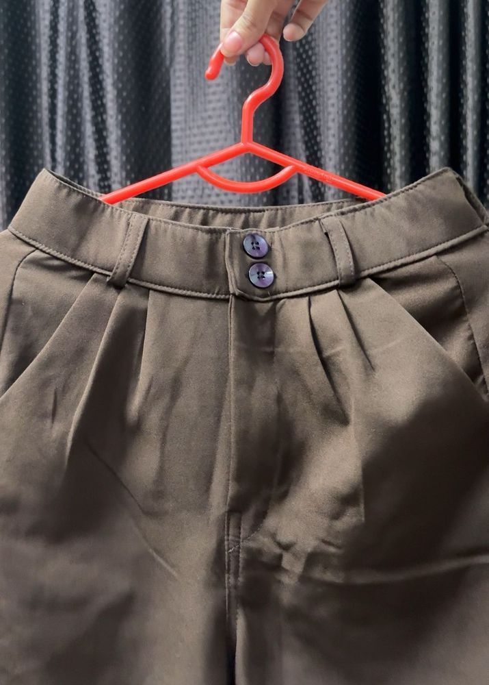 Stylish Brown Pleated Pants