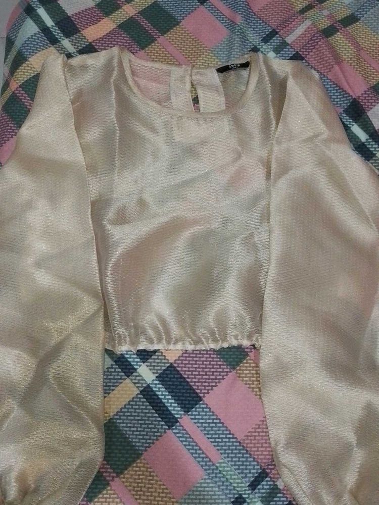 organza net top