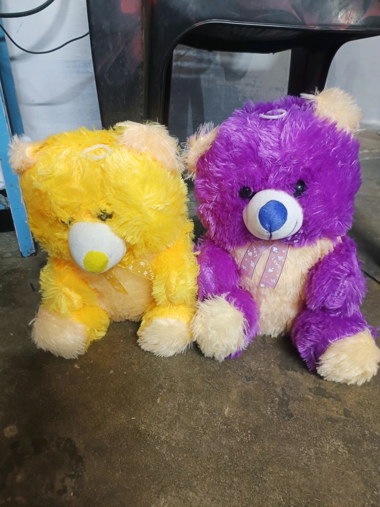 Cute  Two Teddy