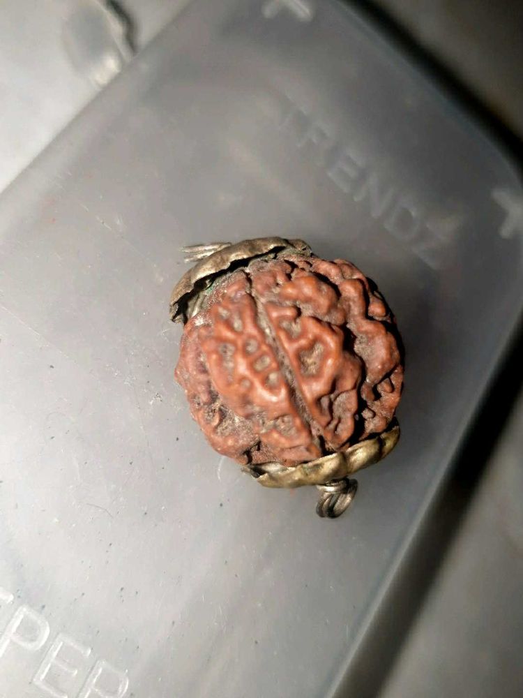 Natural Rudraksha Bead Pendant