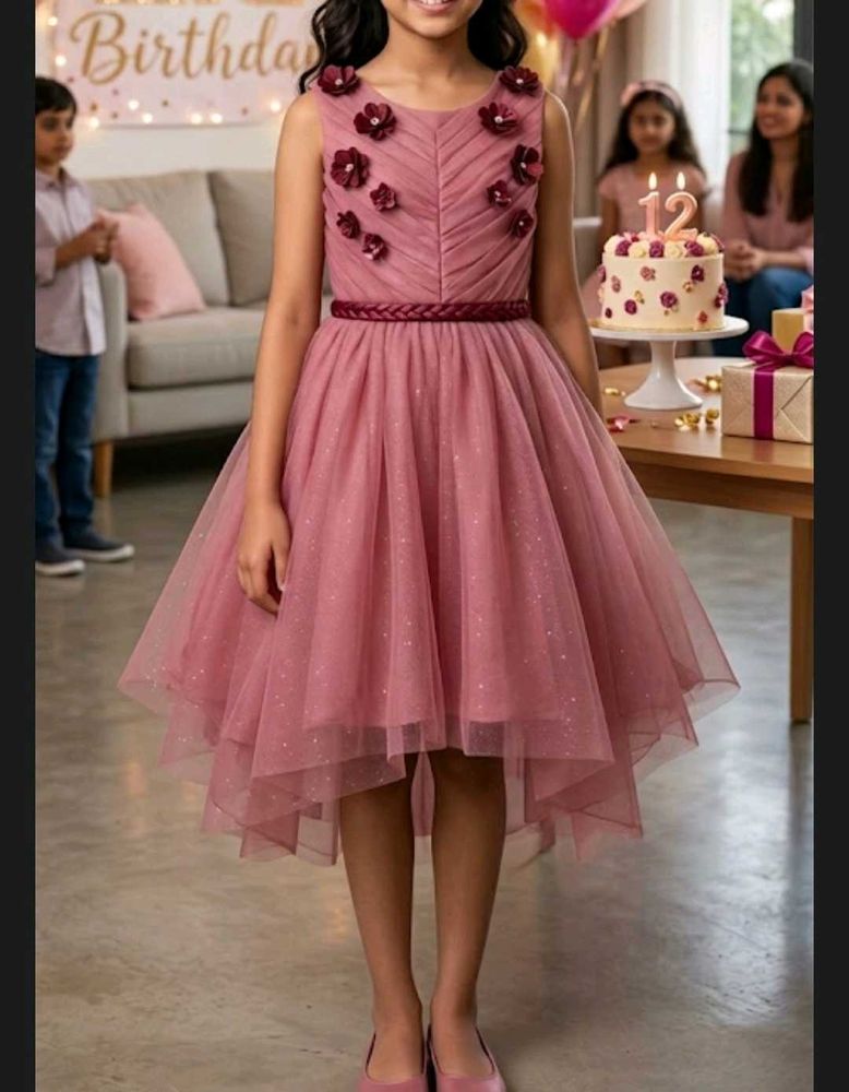 Birthday Onion Pink net and satin dress