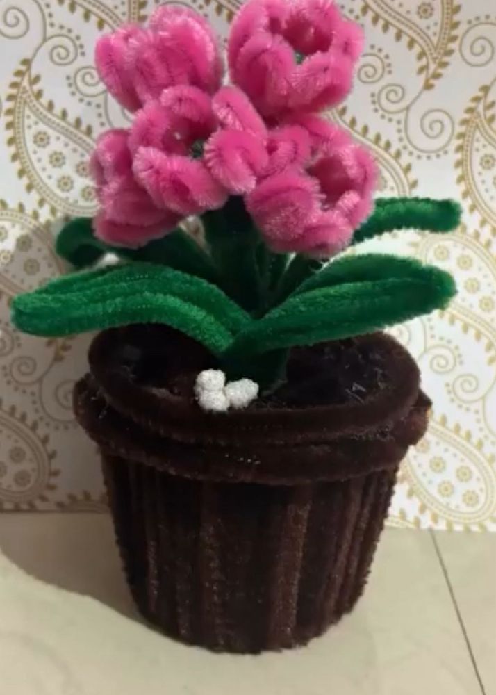 small flowers pot